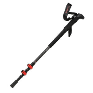 Acebo H30 1